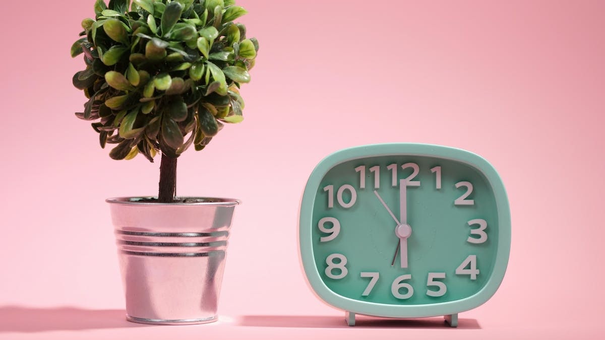 A green alarm clock and potted plant against a pink backdrop create a modern aesthetic.
